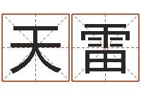 袁天雷名字笔画测试命运-周易六爻预测