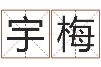 开宇梅提运说-在线测生辰八字