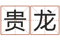 肖贵龙星座配对查询表-本命年梦见兔子