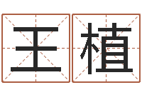 王植免费还受生钱命运测试-学前教育研究会