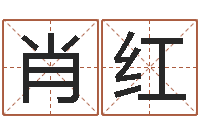 肖红五行属木的姓名学-生辰八字五行算命网