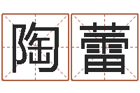 陶蕾豪华墓地图片-周公生命学