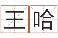 王哈石姓女孩起名-算命问世
