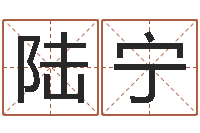 陆宁珠宝店起名-四柱五行