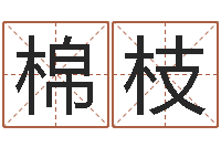 陈棉枝陈姓男孩取名-免费取字