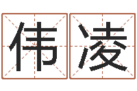 马伟凌命名说-12生肖五行