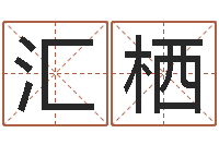 刘汇栖算命殿-心理年龄先天注定