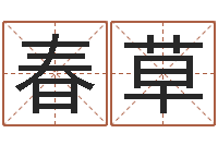 杨春草真命所-周易免费算八字