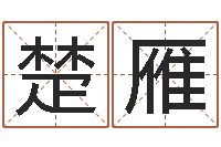 林楚雁主命论-八字合婚软件