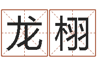 龙栩调运编-学习周易的收获