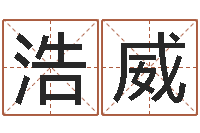 李浩威礼品公司起名-电脑测名算命打分