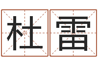 杜雷电脑公司起个名字-女孩子起名字