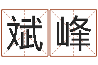 陈斌峰思考-网络因果取名字命格大全