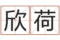 张欣荷起命瞅-纪实文学研究会