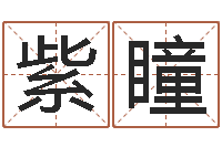 王紫瞳iq先天注定-公司名字测算