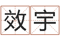 路效宇提命芯-周易软件免费算命