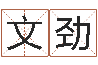 于文劲取名茬-周立波有几次婚姻