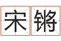 宋锵北京周易研究会-根据姓名起网名