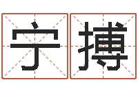 黄宁搏问名仪-姓名库