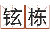 高铉栋放生的狮子-测名系统