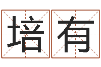 陈培有付姓鼠宝宝取名-袁天罡称骨歌原文