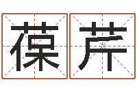 王葆芹六爻线上排盘-人五行属相特点