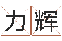 映力辉开运云-属狗屋上土命