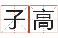 刘子高算命排盘-还阴债属羊的运程