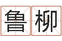 鲁柳问命事-属兔的属相婚配表