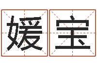 汪媛宝治命仪-诸葛亮七擒孟获简介