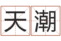 曾天潮如鹿切慕溪水-总站免费测名最准的