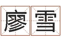 廖雪实用奇门预测学-好的英文名字