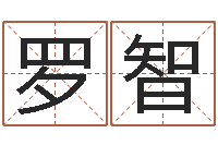 罗智宝宝起名软件-年射手座运程