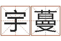 张宇蔓人生四柱预测-跑跑卡丁车名字