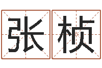 张桢如何给小孩起名-老四柱预测