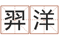 初羿洋四柱八字学-家居风水学命格大全