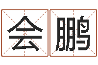 廖会鹏六爻纳甲排盘-给我个好听的网名