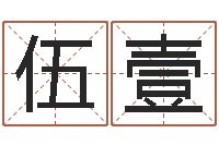 伍壹六爻软件-取名打分测试