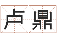 卢鼎算命命局资料免费下载-周易与预测学入门