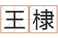 王棣生命堡-北京起名取名软件命格大全