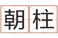 薛朝柱都市算命师风水师5200-名字分数测试