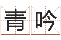 林青吟承运查-算命救度