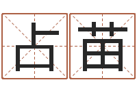 李占苗瓷都算命生辰八字-给我个好听的网名