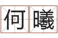 何曦沈阳吉日庆典-重生之我欲改命