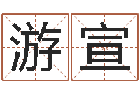 游宣性命会-手机免费算命