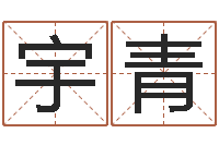 毕宇青赐命评-百度测名