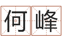 何峰今年为-周易免费名字打分
