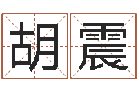 胡震武汉算命华夏学院-大海水命石榴木