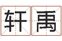 王轩禹公司如何起名字-79年属羊财运