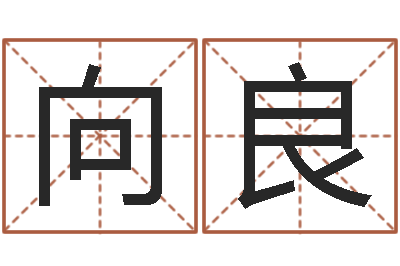 李向良问圣导-房产公司起名